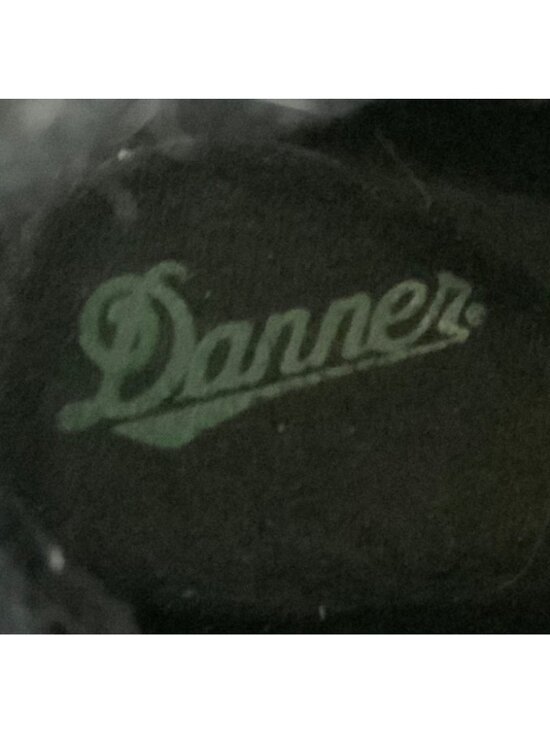 Danner 8 inch Big Horn Mens Brown Gore-Tex Waterproof Hunting Boots Size 10 EE main image 4
